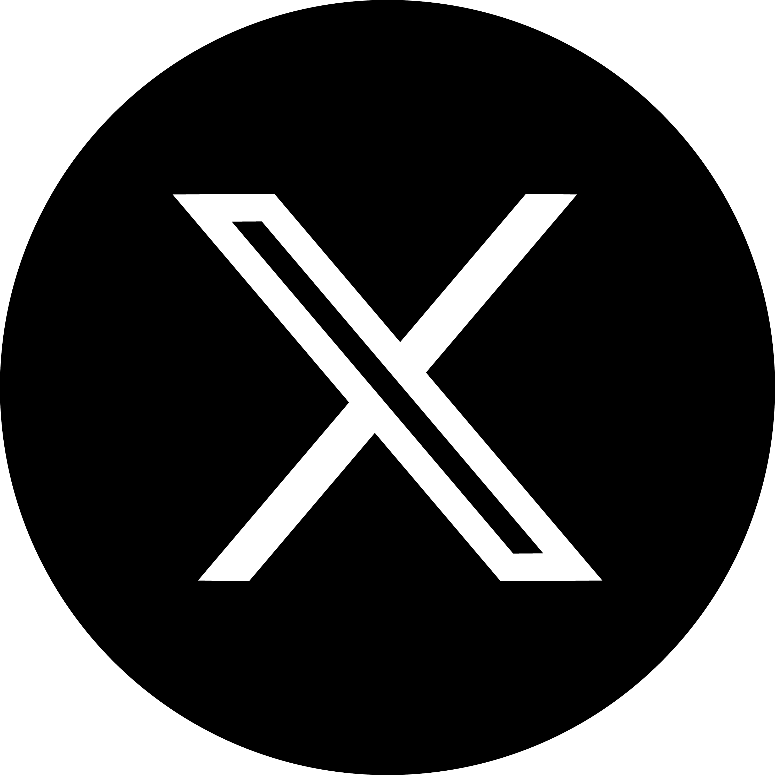 logo X